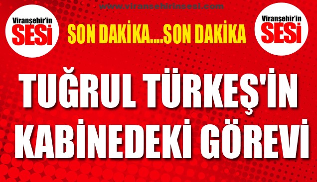 Tuğrul Türkeş’in kabinedeki görevi