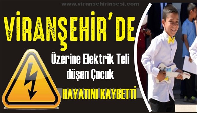 Elektrik Teli 8 Yaşındaki Çocuğun Hayatına Mal Oldu