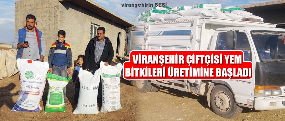 Viranşehir Çiftçisi Yem Bitkileri Üretimine Başladı