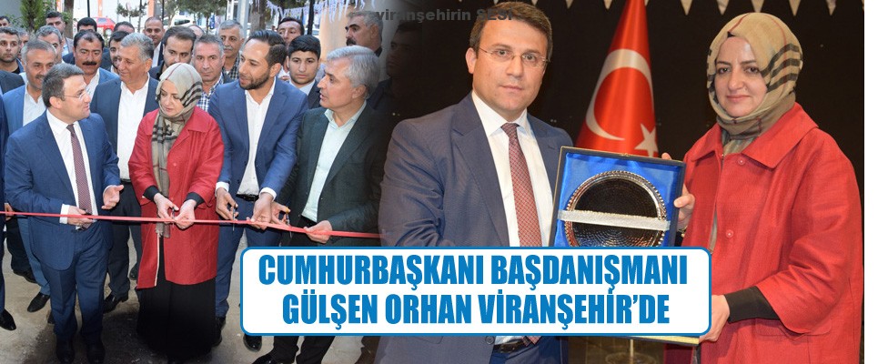 Cumhurbaşkanı Başdanışmanı Gülşen Orhan Viranşehir’de