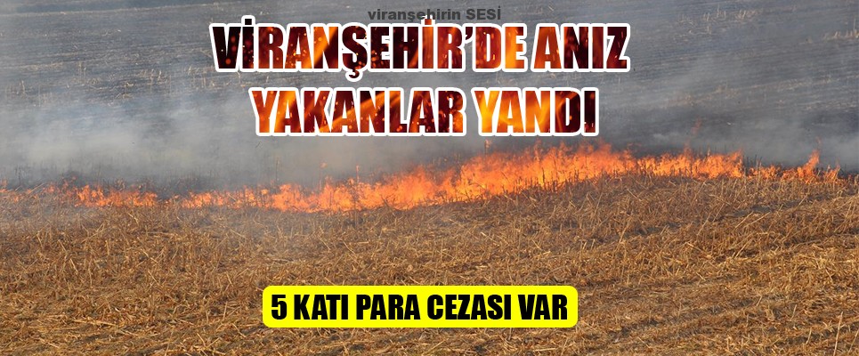 Viranşehir’de Anız Yakanlar Yandı