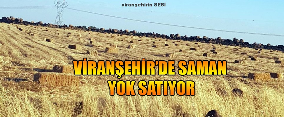 Viranşehir’de Saman Yok Satıyor