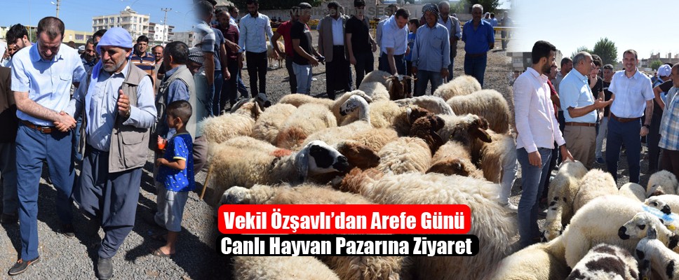 Vekil Özşavlı’dan Arefe Günü Canlı Hayvan Pazarına Ziyaret