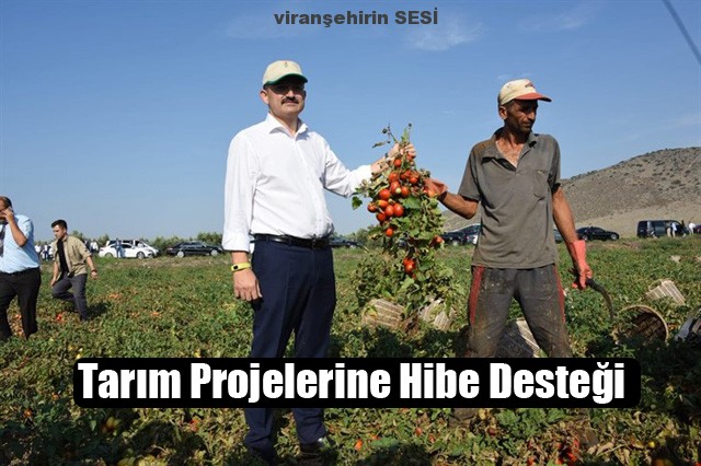 Tarım Projelerine Hibe Desteği