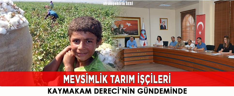 Mevsimlik Tarım İşçiliği Kaymakam Dereci’nin Gündeminde